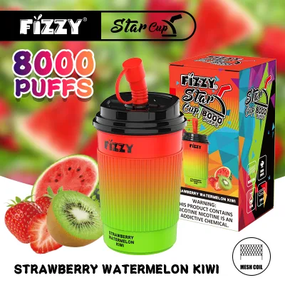 Shenzhen Fizzy Hot Sale E-Cigarette Factory High Quality 8000 Puffs Plus Mint Flavor Disposable Vape Pen