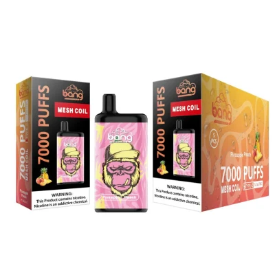 Bang 7000 Puff Bar E Cigarette Disposable Wholesale I Vape
