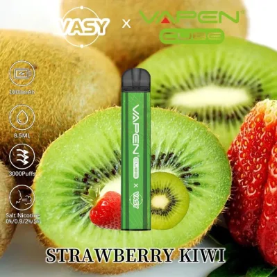 Wholesale Disposable Vape Pen Vasy Vapen Cube 3000 Puff