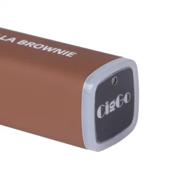 Tpd CE RoHS Wholesale Disposable Vape Pen 600 Puff 2ml E-Liquid Support OEM/ODM Wholesale I Vape Ciggo Square