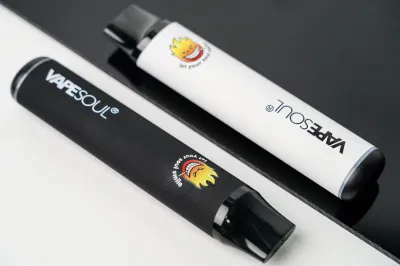 Vapesoul 600 800 Puffs Pod System Mod Kit Rechargeable Hookah Pen Mesh Coil Wholesale E Cigarette