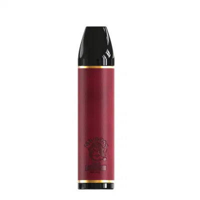 New Style Wholesale Pod Pen Disposable Electronic Cigarette Vape 5000 Puffs 600mAh