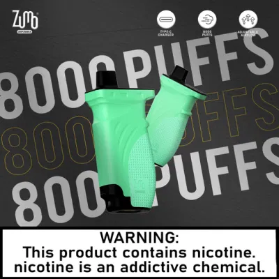 Cool Mint Fruit Flavor 8000 Puffs Disposable Vape E Cigarette Pen