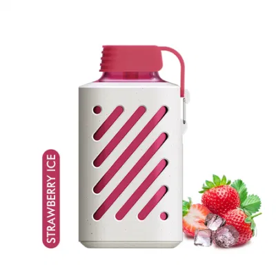 OEM Pod 10000 Puffs Wape Bar Disposable Wholesale I Mini Vape Pan