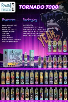 Good Taste Various Flavors Disposable Electronic Cigarette Randm Tornado 7000 Puffs Vape with CE Certificate