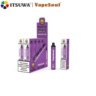 Vapesoul Mesh-800 Wholesale Fashion E-Cigarette 2ml 800puffs 500mAh 1.4ohm OEM ODM Mesh Coil Disposable Vape