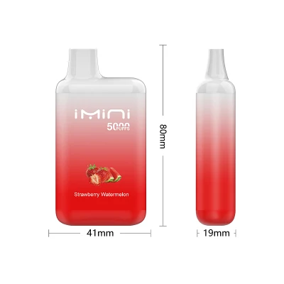 Imini Puff 5000 Vape Disposable E Cigarette 12ml Prefilled Cartridge 550mAh Rechargeable Battery Bc5000 Sigarette Elettroniche Vs Razz Bar Puffbar 7000 9K 12K