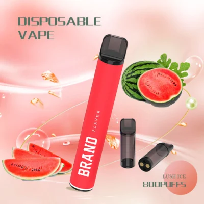 Newest Factory 800puffs 2ml Wholesale Electronic Cigarettes Disposable Vape