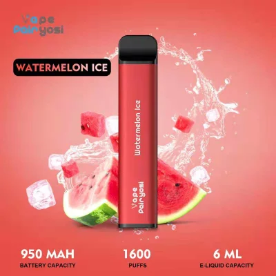 Hot Sale Square Disposable Vape with 1600 Puff 6.0ml Nic Salt E-Liquid