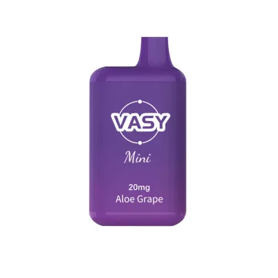 Wholesale Vasy Mini 600 Puffs Popular Flavor Strawberry Ice Cream 20mg Disposable Vape
