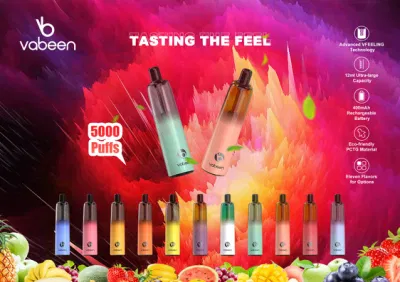 2021 Vaper Cigarettes Electronics Pop Fruit Flavors Liquid Oil Disposable Electronic Cigarette Ultra-Large Capacity Vape Pen