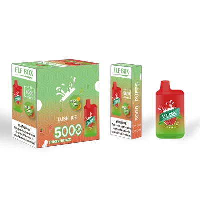 Best 5K Puff Bar Disposable Vapes 5000 Puffs Wape Pen Hookah Mesh Coil Disposable E-Cigarette Wholesale I Vape Pen Elf Box