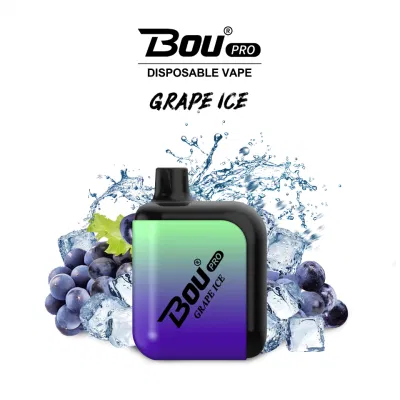 Wholesale Bou Vape E-Cigarette Rechargeable 7000 Puffs Disposable Vape