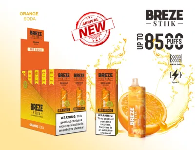 Wholesale Disposable I Vape Breze Stiik BS8500 Hotbox Vape