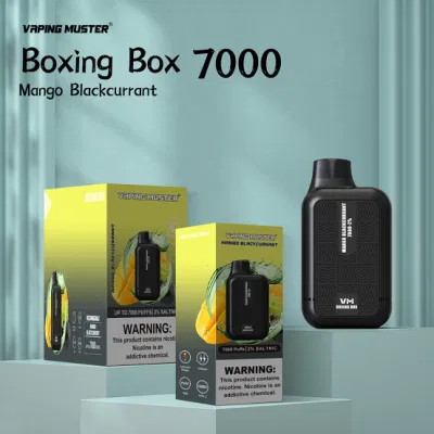 Vaping Muster Hot Product Type C Charging 7000puffs Electronic Cigarette Wholesale Rechargeable Disposable Vape