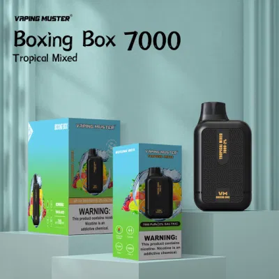 Vaping Muster Hot Product Type C Charging 7000puffs Electronic Cigarette Wholesale Rechargeable Disposable Vape