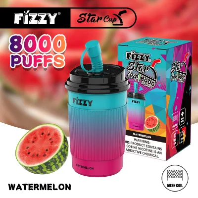 Shenzhen Fizzy Hot Sale E-Cigarette Factory High Quality 8000 Puffs Plus Mint Flavor Disposable Vape Pen