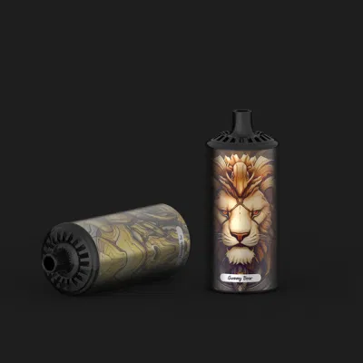 OEM Service 20ml Disposible Vapes 10000 Puffs Rechargeable Vapes Smoke Electronicos Electric Vapes