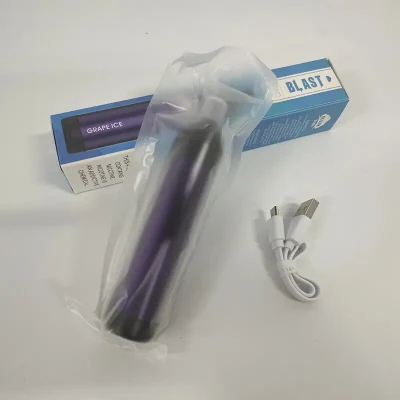 2021 Disposable Tobacco Smoking Sticks Electronic Vape Fruit Flavor Vape