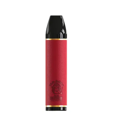 New Style Wholesale Pod Pen Disposable Electronic Cigarette Vape 5000 Puffs 600mAh