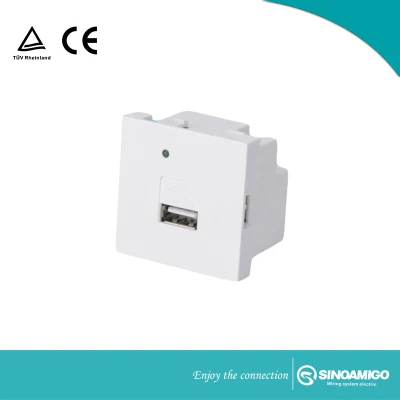 2.1A USB Charger for Phone and Pad etc.