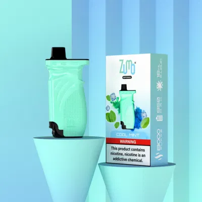 Cool Mint Fruit Flavor 8000 Puffs Disposable Vape E Cigarette Pen