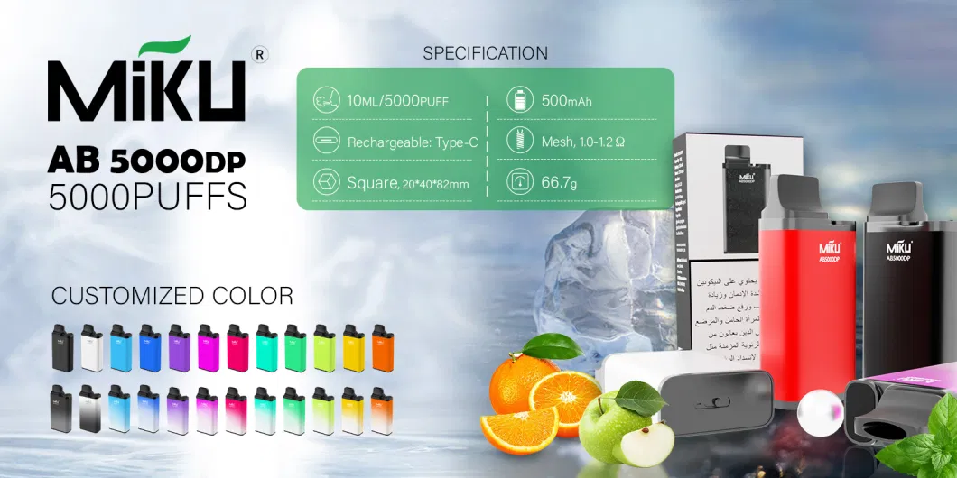 Best Selling Vape Disposable E-Cigarette with 5000 Puffs 3% Salt-Nic OEM Vape