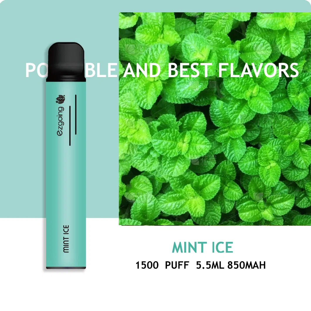 Mini Disposable Vape Pen Vape Pods Fruit Mint Ezgoing 1500 Puffs OEM Factory Wholesale I Vape