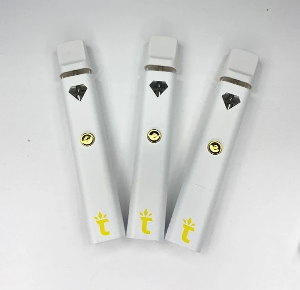 Wholesale E Cigarettes Rechargeable Disposable Pens Type C 2ml Disposable Vape Pen Device Thick Oil Torch Diamond Vapes