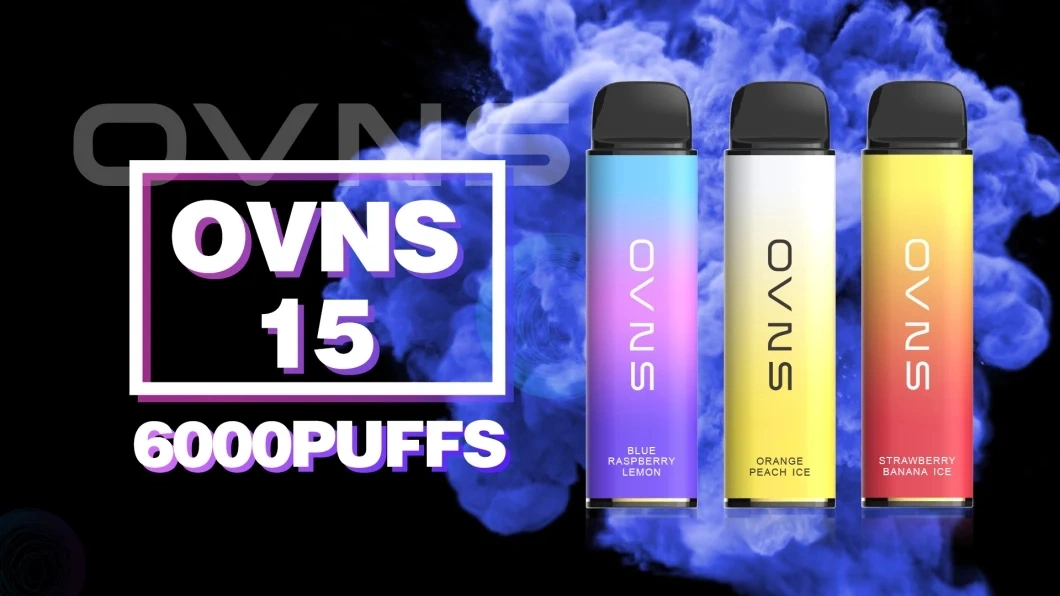 Ovns Mesh15 Popular Disposable Pods Vape About 6000puffs Mint Flavor OEM Service Manufacturer