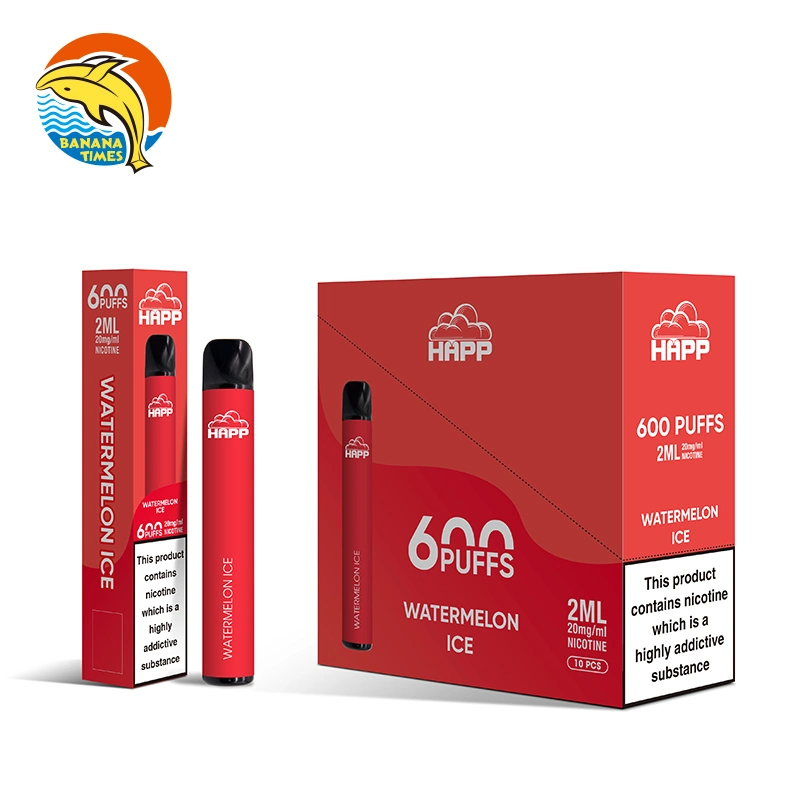 Europe Wholesale Fruit Flavors E-Cigarette 2ml E-Liquid 600 Puffs Vape Pens OEM Tobacco Flavor Disposable Vapes with Mesh Coil