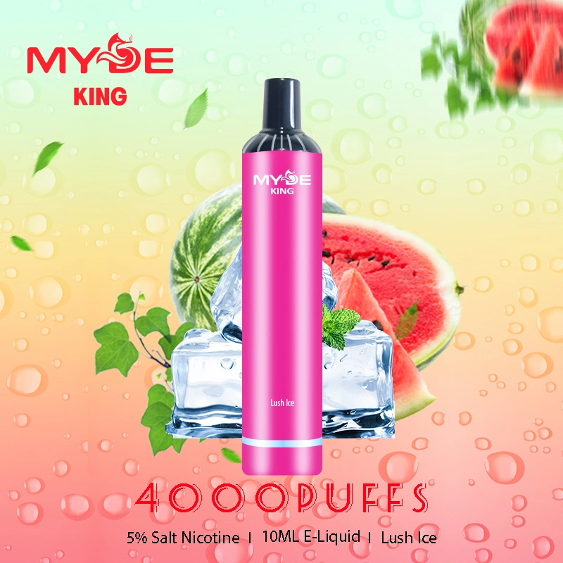 Myde King Hot Sale Vape Factory Wholesale Price Disposable E Cig 4000 Puff Good Taste Vape