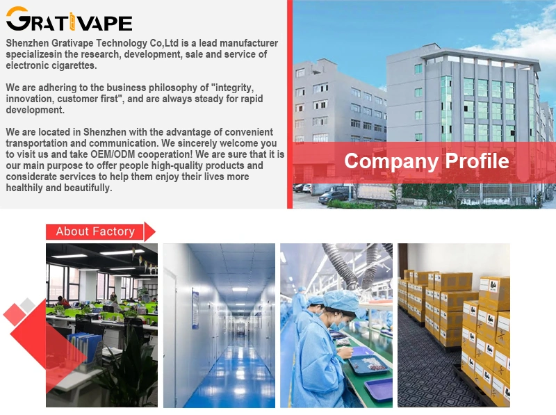 Customized Grativape Hot Selling Premium Flavor Juice Bars Icube 12000 Puffs 0% 2% 3% 5% Nicotine Electronic Cigarette with Free Lanyard Alibaba Disposable Vape