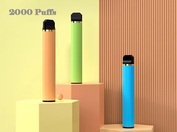 Rechargeable Disposable Vape Pen 3000 Puffs 10ml Vape with Charging Port