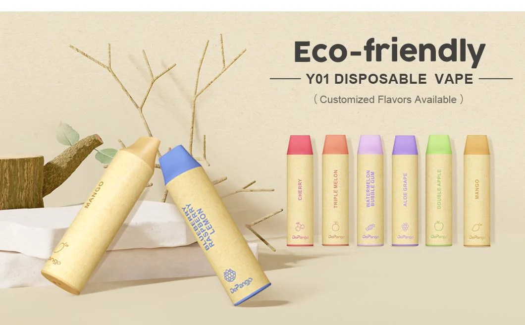 Eco-Friendly Disposable Vape 800puffs with CE Tpd Custom Flavor 2ml 400mAh Electronic Cigarette