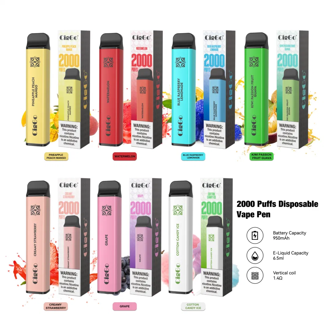 2023 Hot Selling Vape Pod Device Ecigs Ciggo Cube 20 00puffs Wholesale Vaporizer Vape Pen Disposable Electronic Cigarette