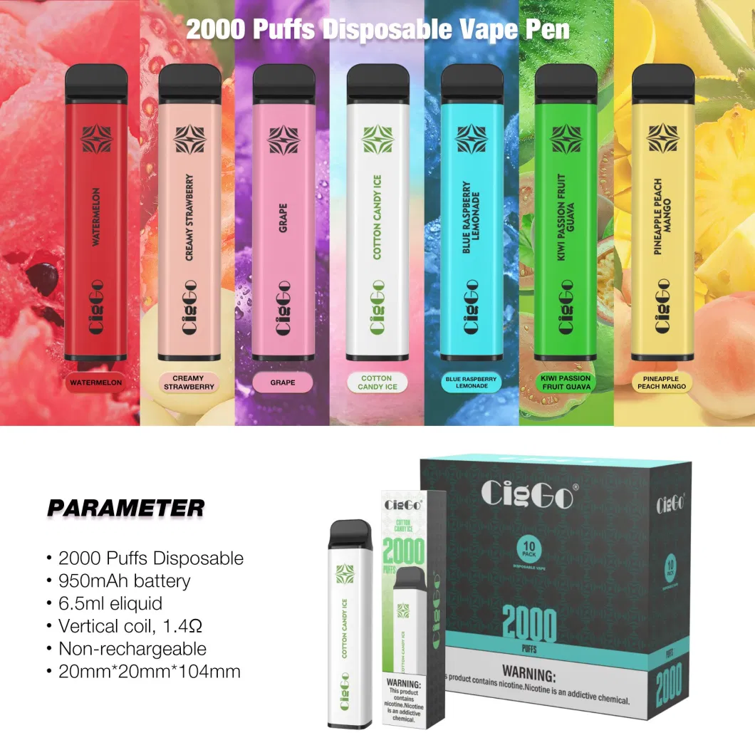 2023 Hot Selling Vape Pod Device Ecigs Ciggo Cube 20 00puffs Wholesale Vaporizer Vape Pen Disposable Electronic Cigarette