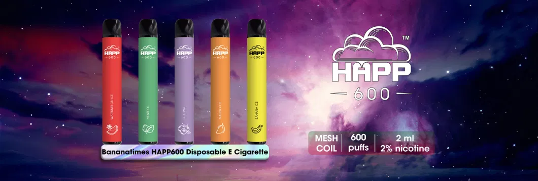 Europe Wholesale Fruit Flavors E-Cigarette 2ml E-Liquid 600 Puffs Vape Pens OEM Tobacco Flavor Disposable Vapes with Mesh Coil