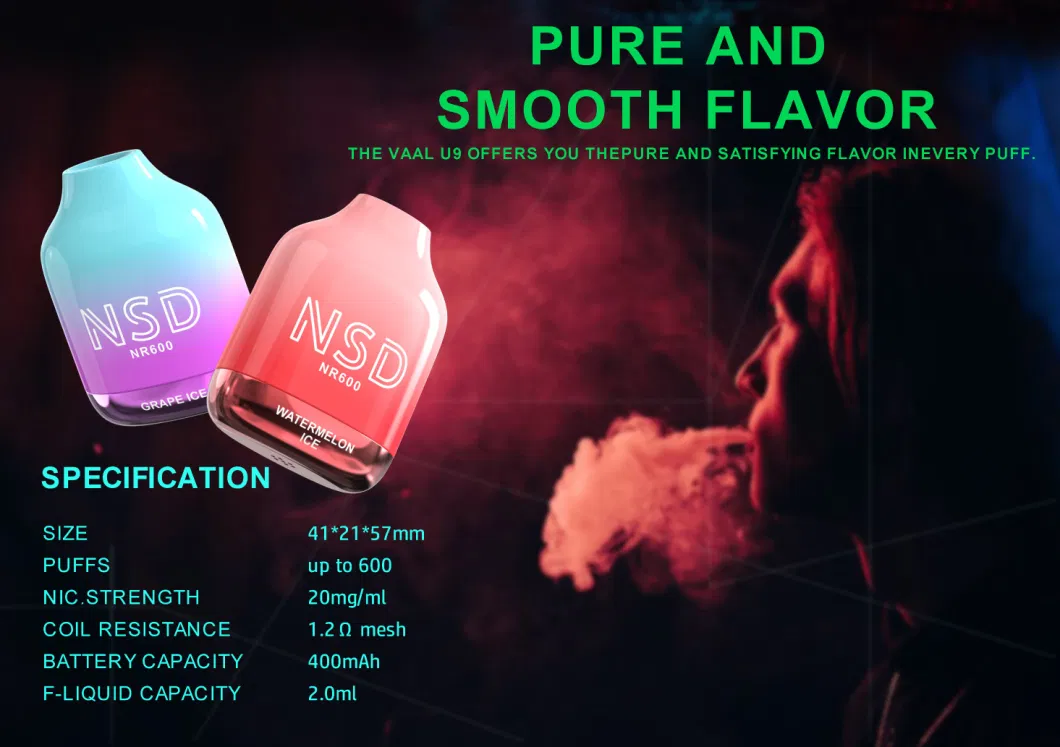 Health Care Product 600 Puff Pen Hookah USB-C Charging Port Smoke Vape Mod Disposable Pod Wholesale E Cigarette Price Vape