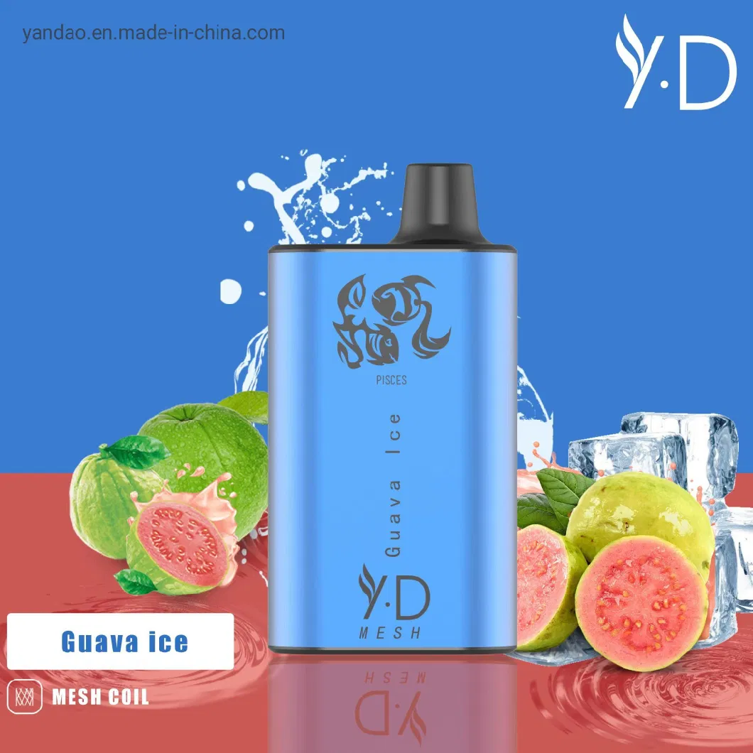 2023 Yd OEM/ODM Manufacturer Hot Selling Fruit Flavor 8000puffs Wholesale Disposable Electronic Cigarettes E Hookah Charger