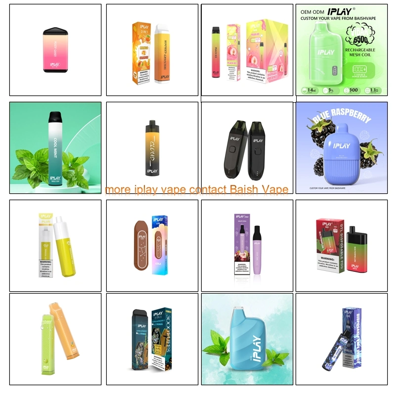 Zbood OEM/ODM Pilot Eliquid Juice 9500/12000/15000/10000 Koko E Cigarette Iplay Ecco 7000 Puff Disposable Vape