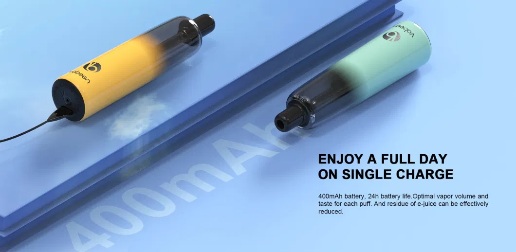 2021 Newest Disposable Wholesale Vape Pen 11 Flavors Electronic Cigarette 5000 Ultra-Large Puffs