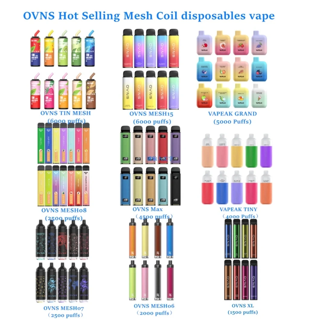 Ovns Mesh15 Popular Disposable Pods Vape About 6000puffs Mint Flavor OEM Service Manufacturer