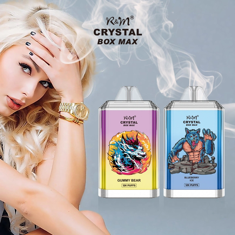 20 Good Taste Flavors 12000puffs R and M Disposable Vape Electronic Cigarette Wholesale Factory Vape