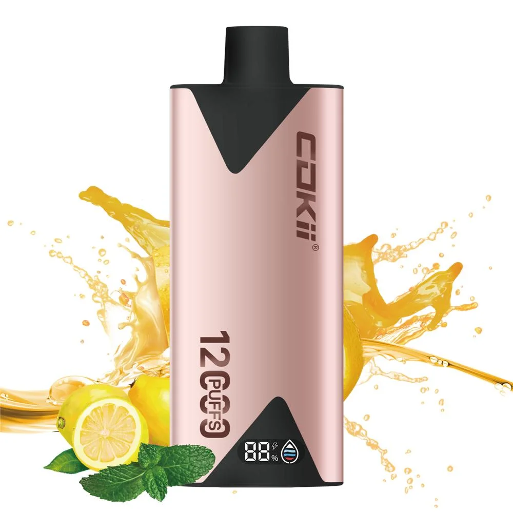 Juice Head Vape E Cigarette Disposable Electronic Cigarette 12000 Puffs Vape Cokii