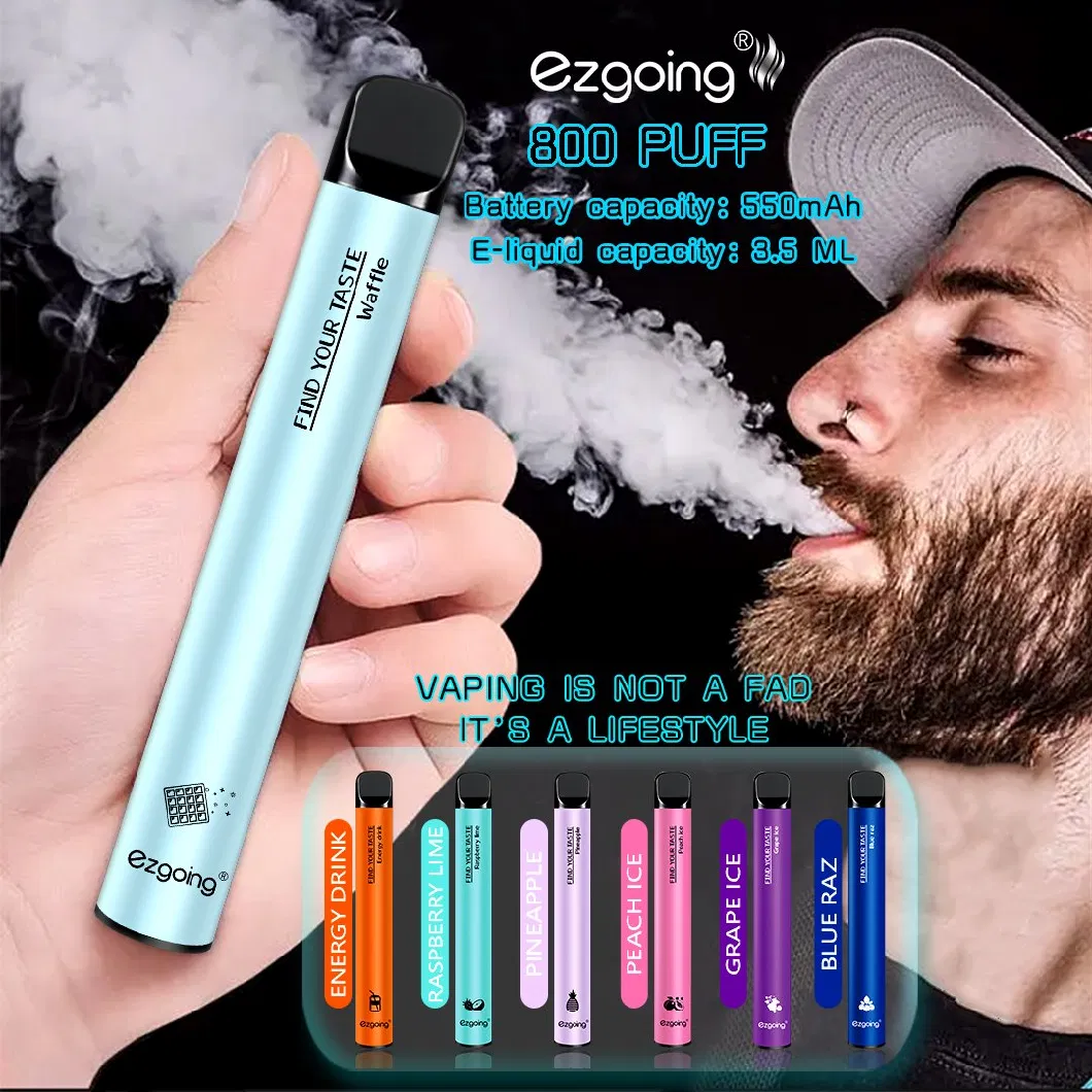 Mini Disposable Vape Pen Vape Pods Fruit Mint Ezgoing 1500 Puffs OEM Factory Wholesale I Vape