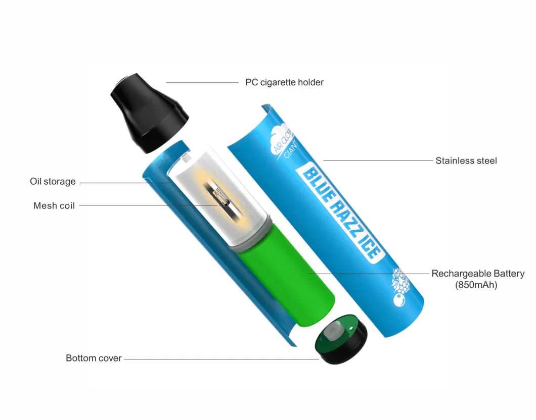 New Products Packaging Vape 5 Different Fruit Flavors Type-C Charge Disposable Vape New Design