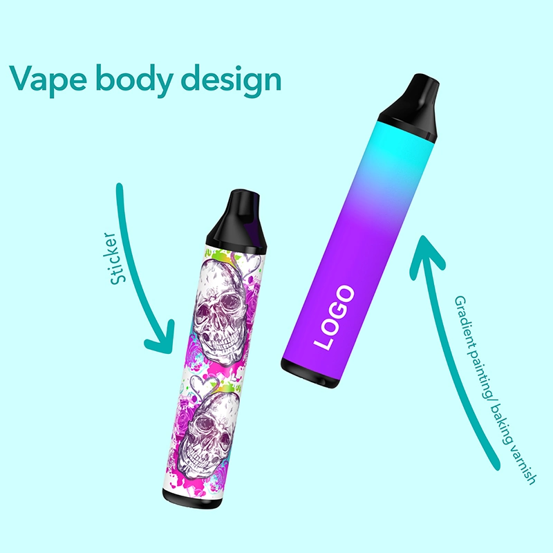 New Products Packaging Vape 5 Different Fruit Flavors Type-C Charge Disposable Vape New Design