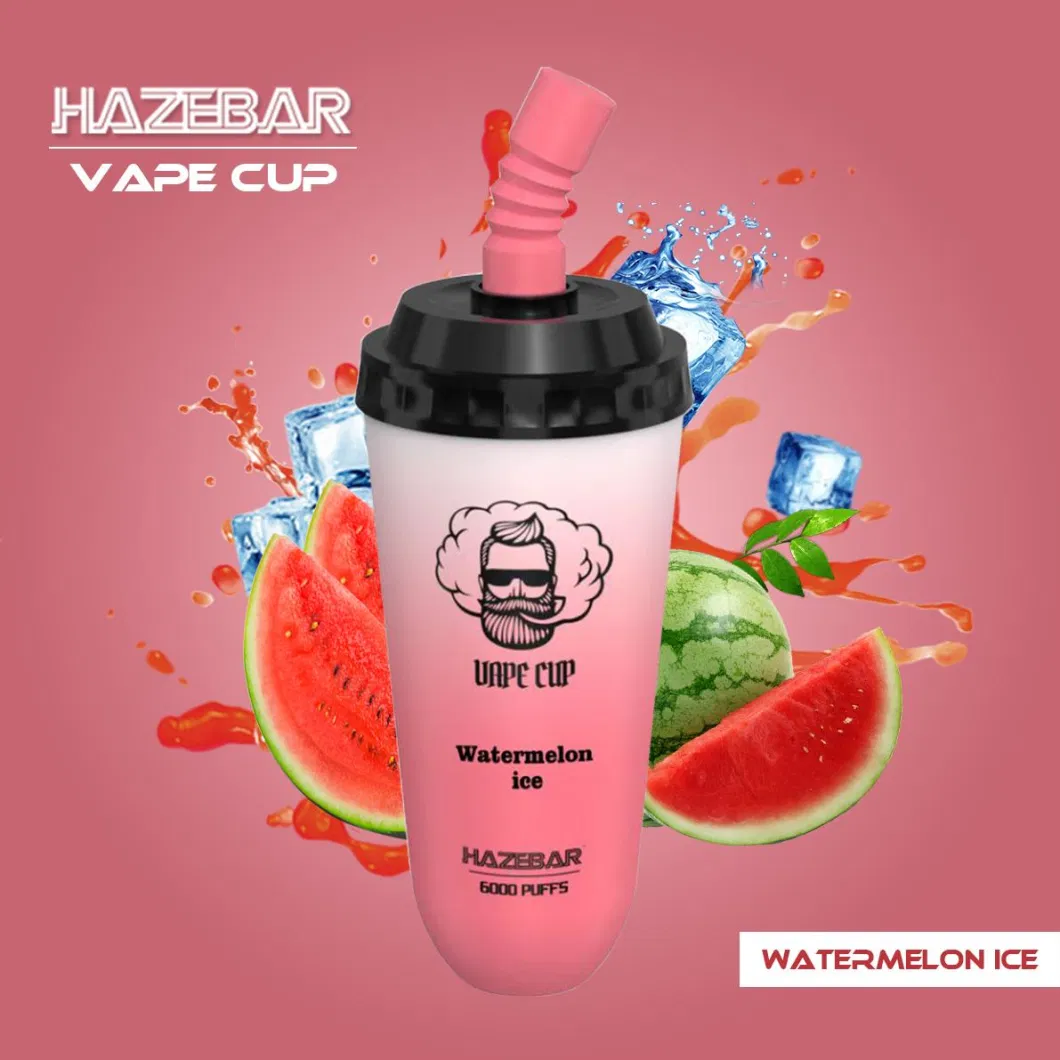 2023 Vaporizer Haze Bar Vape Cup 6000 Wholesale Vape Disposable Vape Pen Wholesale with Factory Price