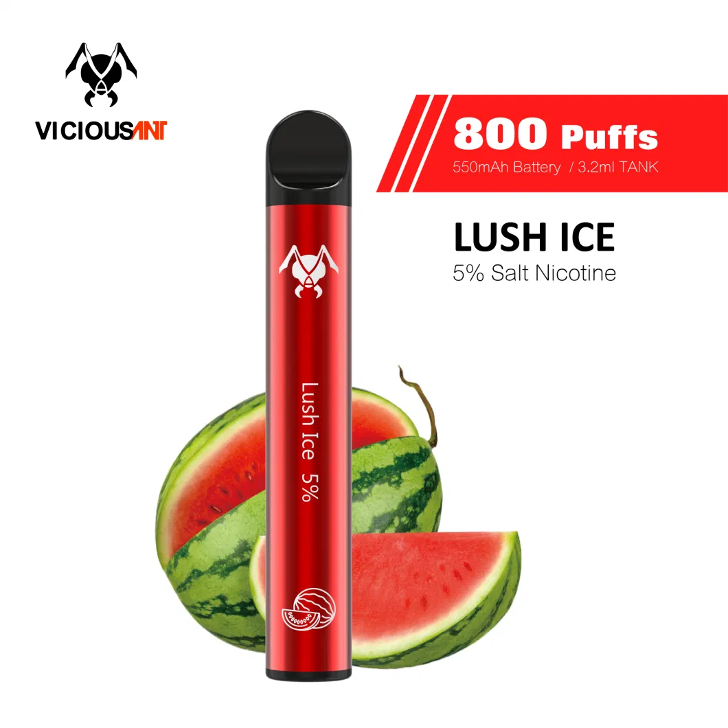 2021 New Arrival Vaping Product Wholesale Different Types Disposable Electronic Cigarette E Liquid Vape